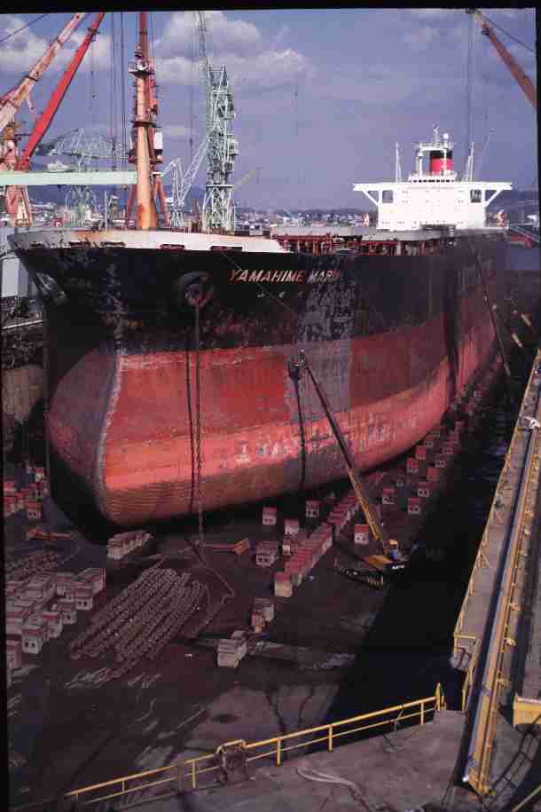 Thomas Lopez  373254.jpg